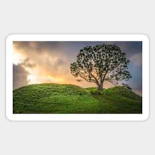 Lone Tree, Lone Sheep Sticker